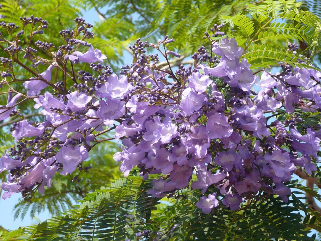 Ryokan Yamadaya Unzen Εξωτερικό φωτογραφία